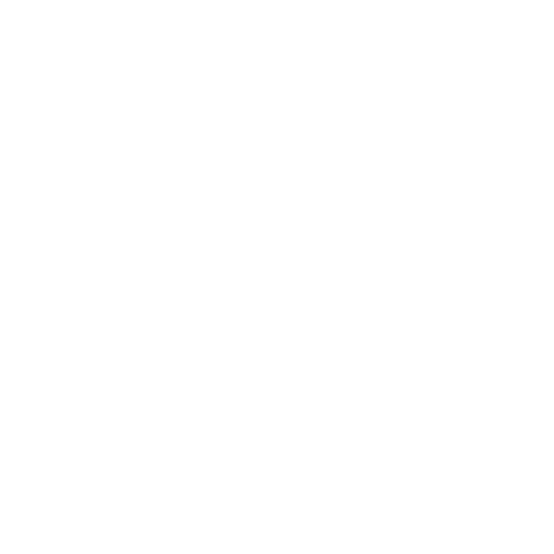 lookup.pokemon.quiz.zoom.name